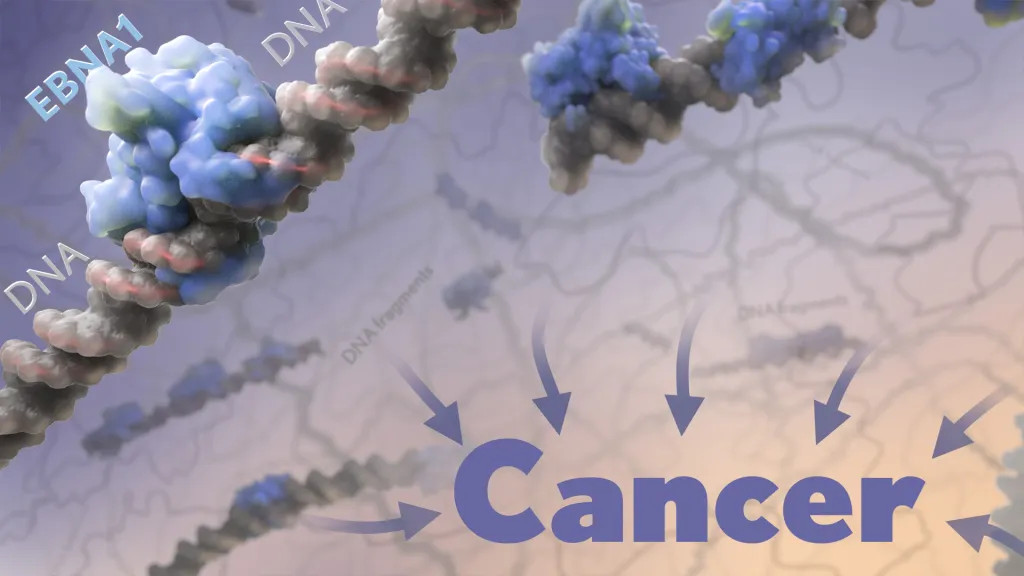 Figura 1: Una proteína viral puede estar implicada en el desarrollo de cáncer.